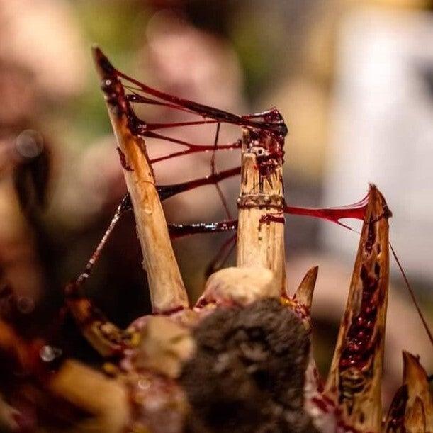 Dirty Down Gore 15ml