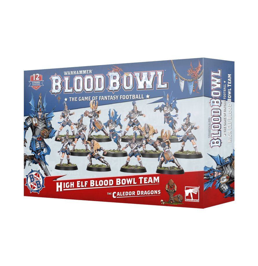 Blood Bowl - High Elf Team