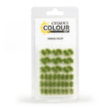 Warhammer Colour Verdia Veldt Tufts