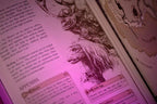 Jim Henson's The Dark Crystal - Adventure Game